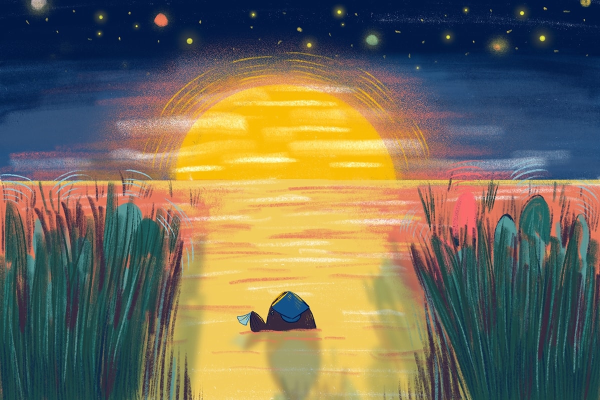 ошибки в резюме студента