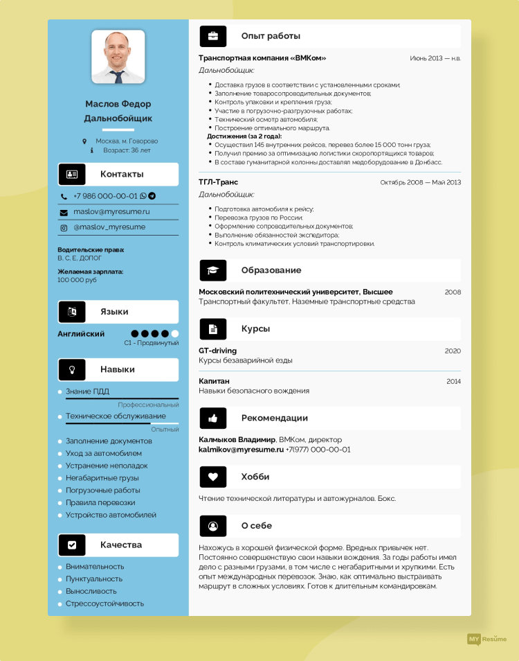 изысканное резюме шаблон скачать