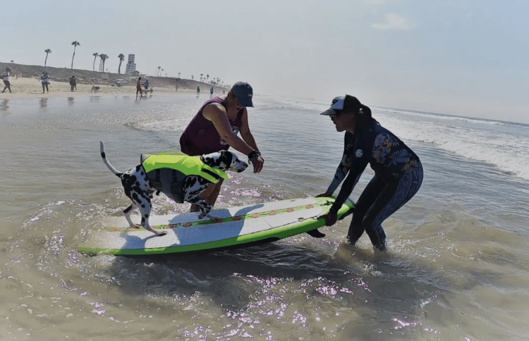 список необычных профессий 21 века