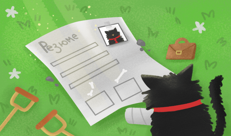 инвалидность в резюме