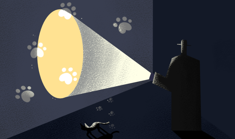 цифровой след