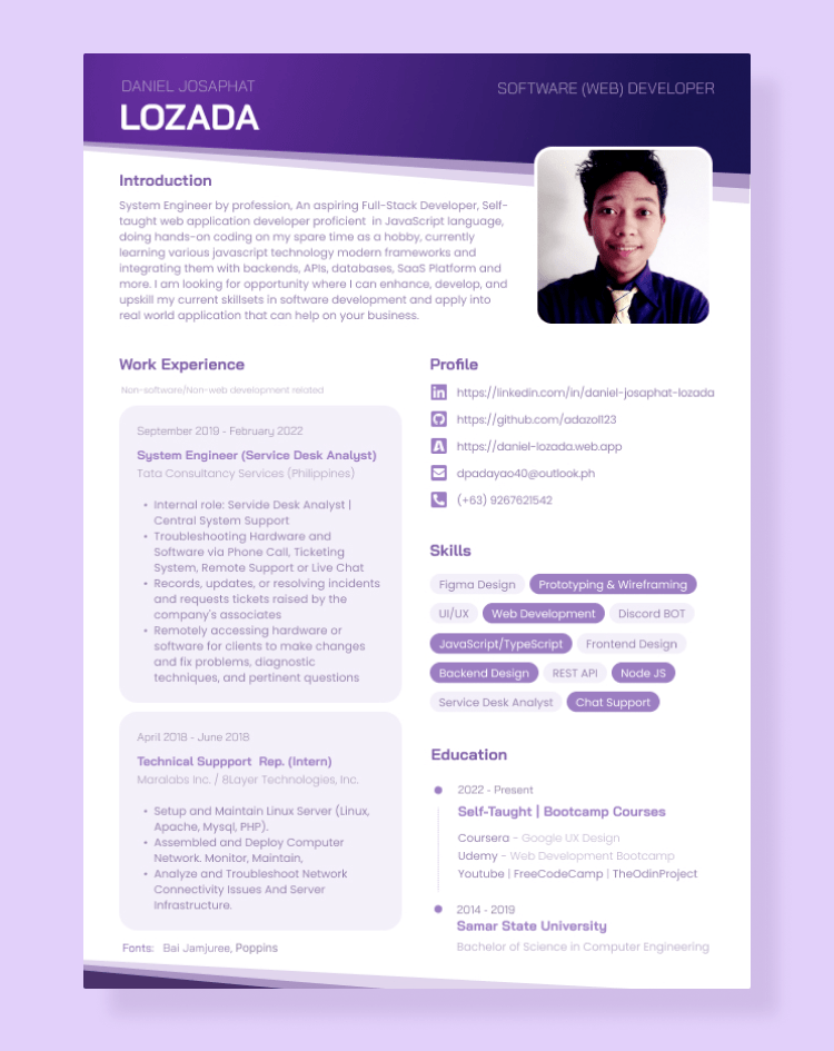 графическое резюме шаблон бесплатно