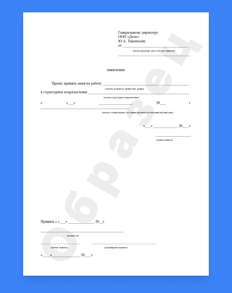 заявление о приеме на работу бланк
