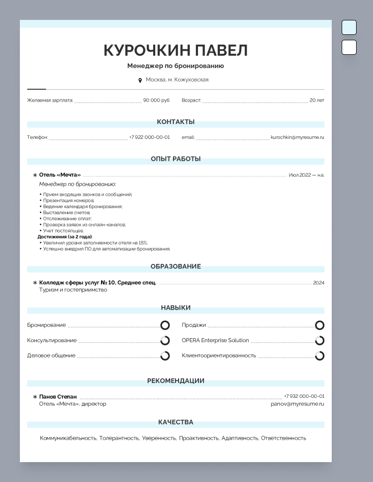 бланк резюме pdf