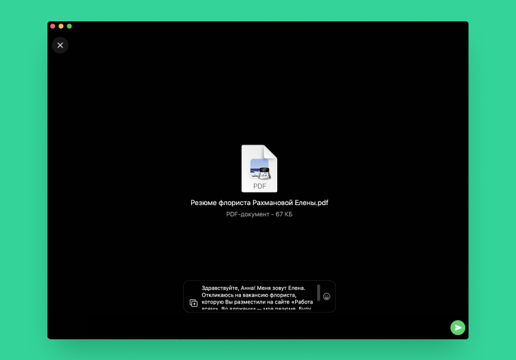 вацап резюме