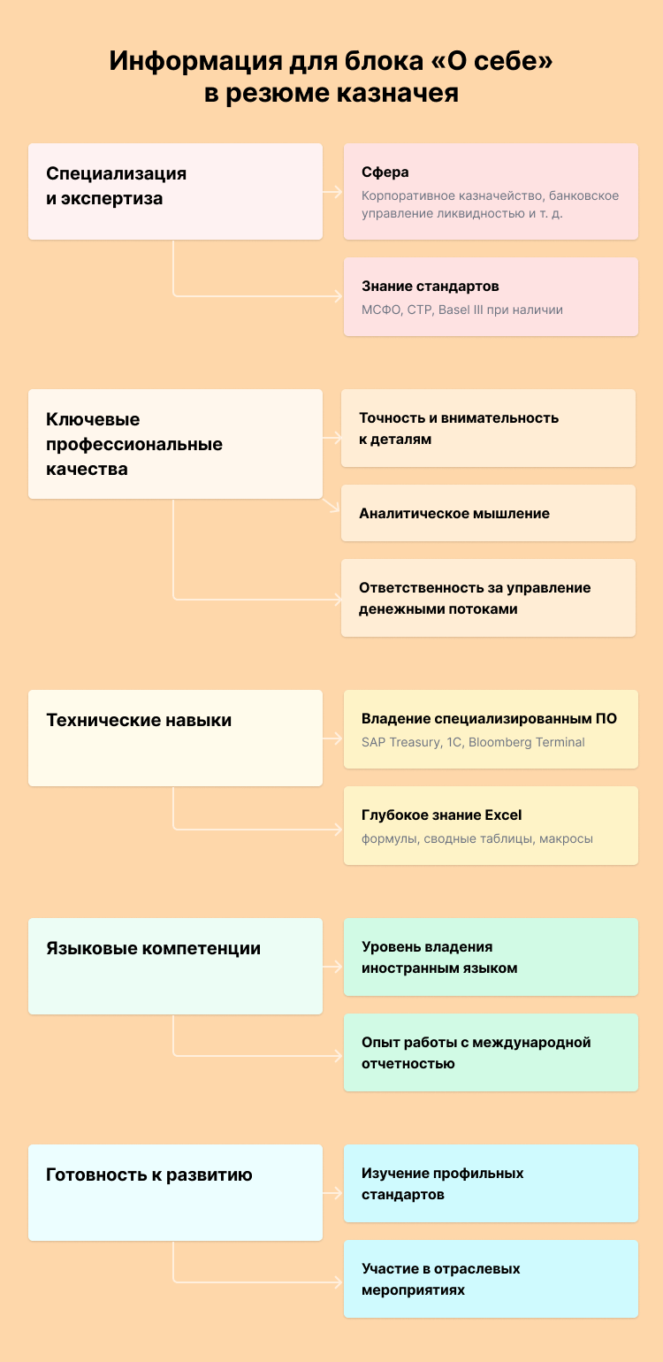 резюме на должность казначея