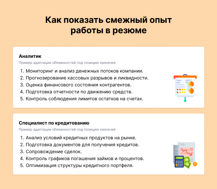 казначей обязанности для резюме