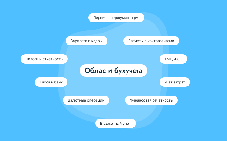 резюме бухгалтера на первичку