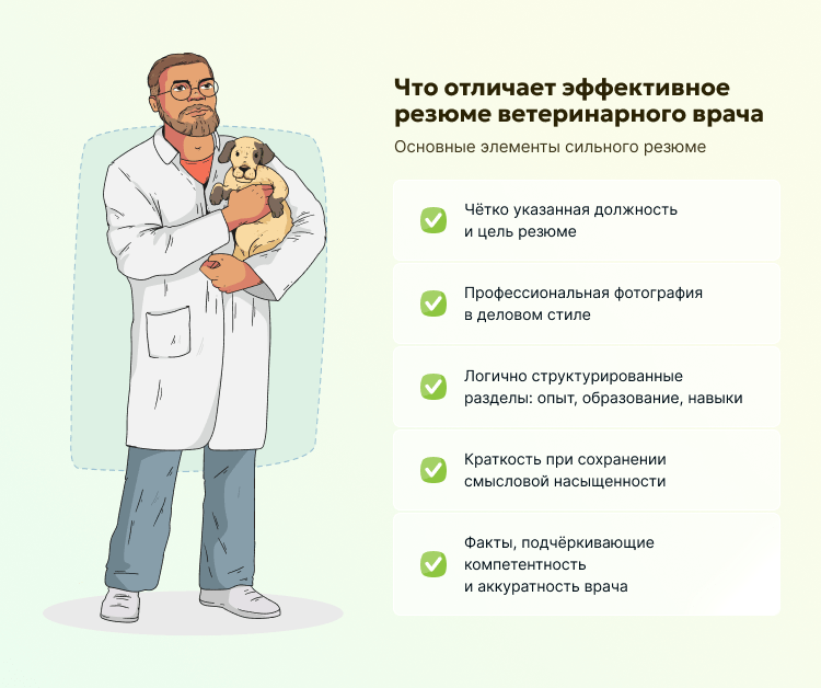 Что отличает эффективное резюме ветеринарного врача