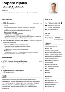 резюме ревизор