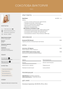 резюме модели